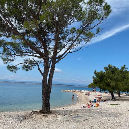 Family Apartments Vesna- 100 M Beach -Center Crikvenica Eksteriør bilde
