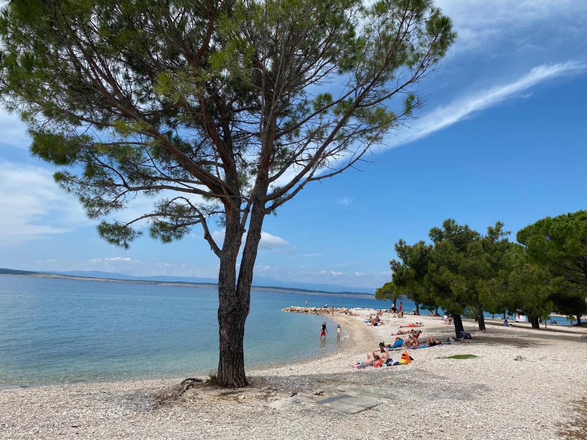 Family Apartments Vesna- 100 M Beach -Center Crikvenica Eksteriør bilde