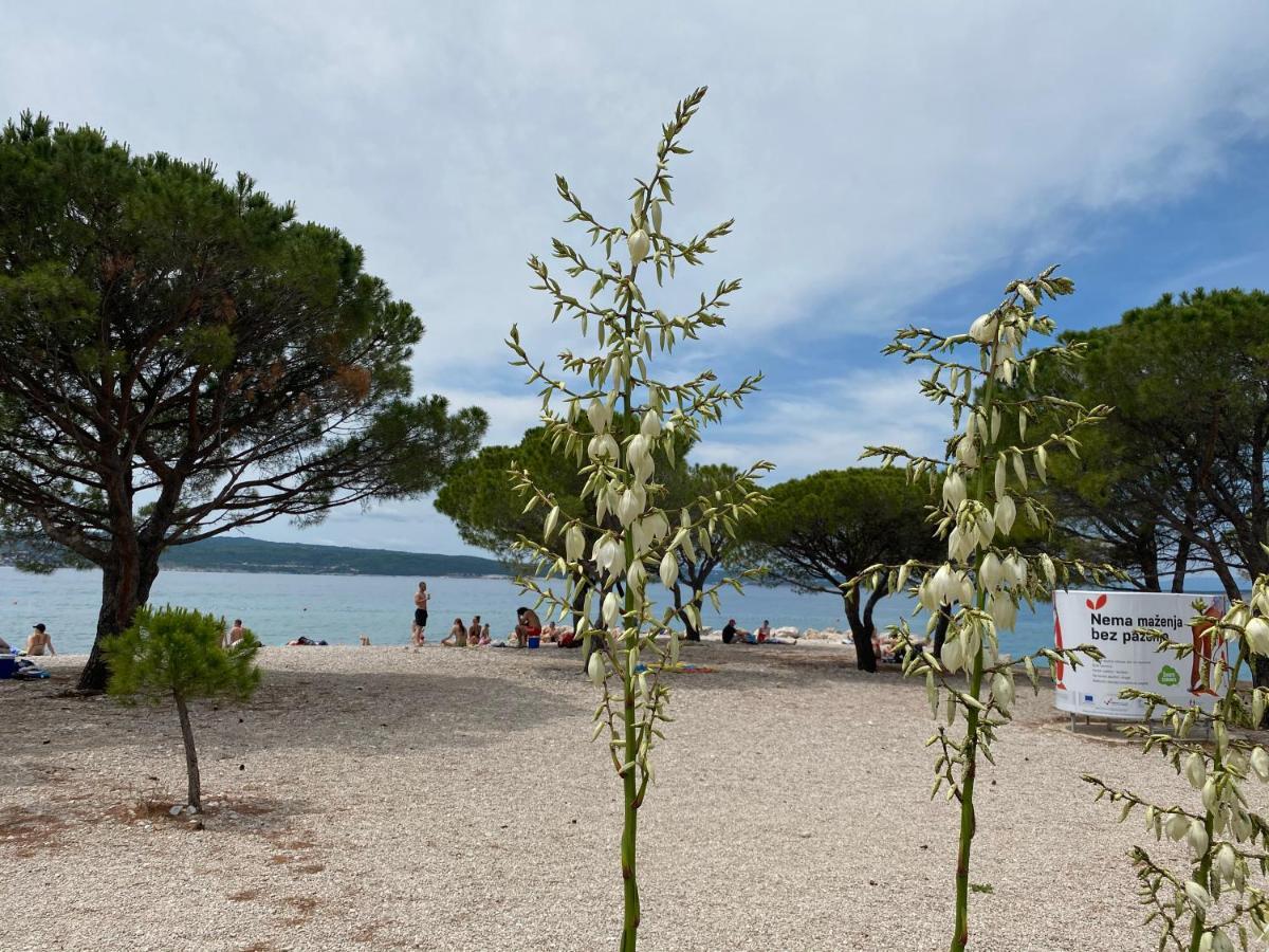 Family Apartments Vesna- 100 M Beach -Center Crikvenica Eksteriør bilde