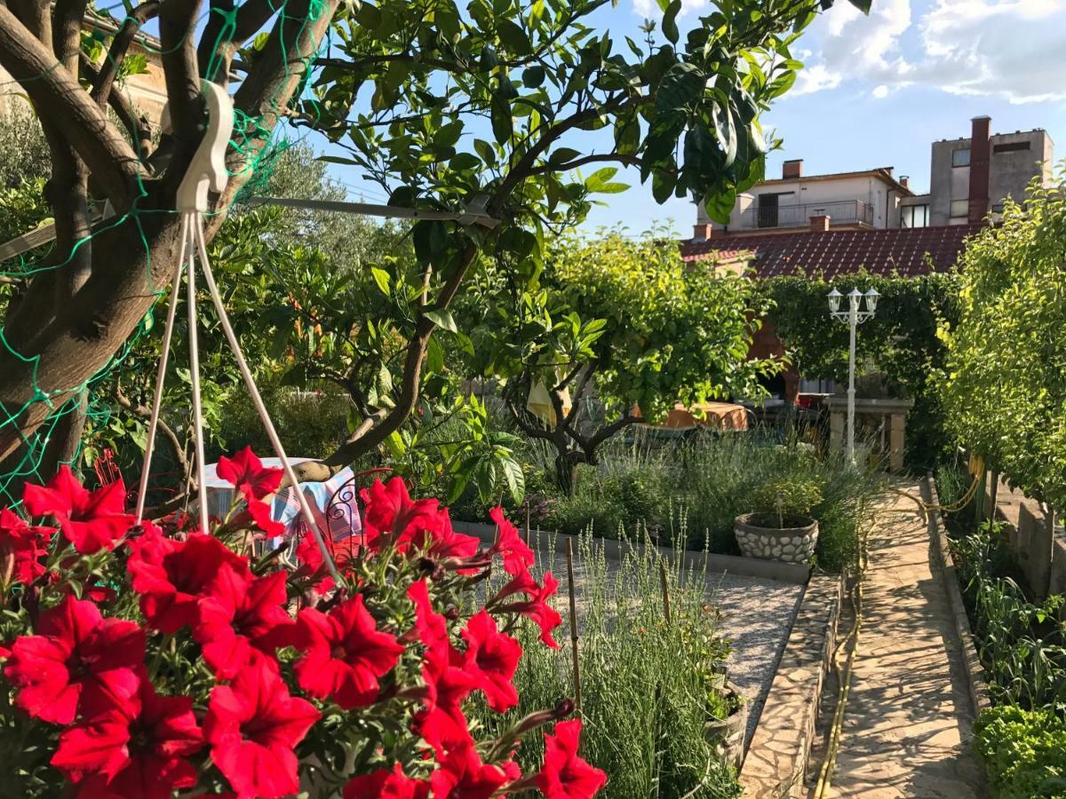 Family Apartments Vesna- 100 M Beach -Center Crikvenica Eksteriør bilde